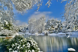 Winter pond with a fountain