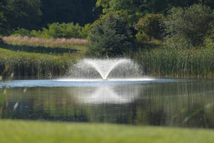 Pond with shoreline grasses and fountain 