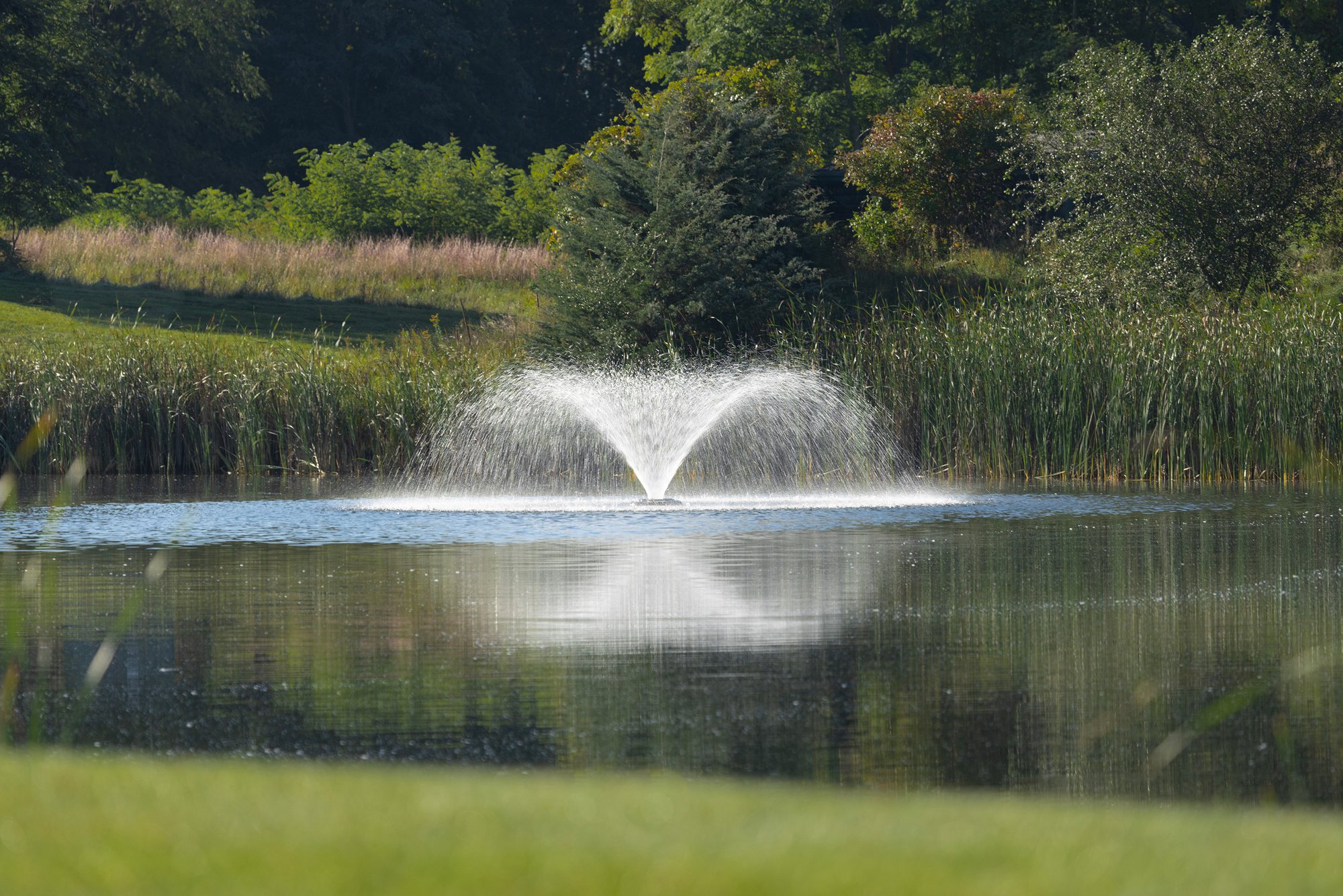 Kasco_VFXSeries_Fountain_Image_3