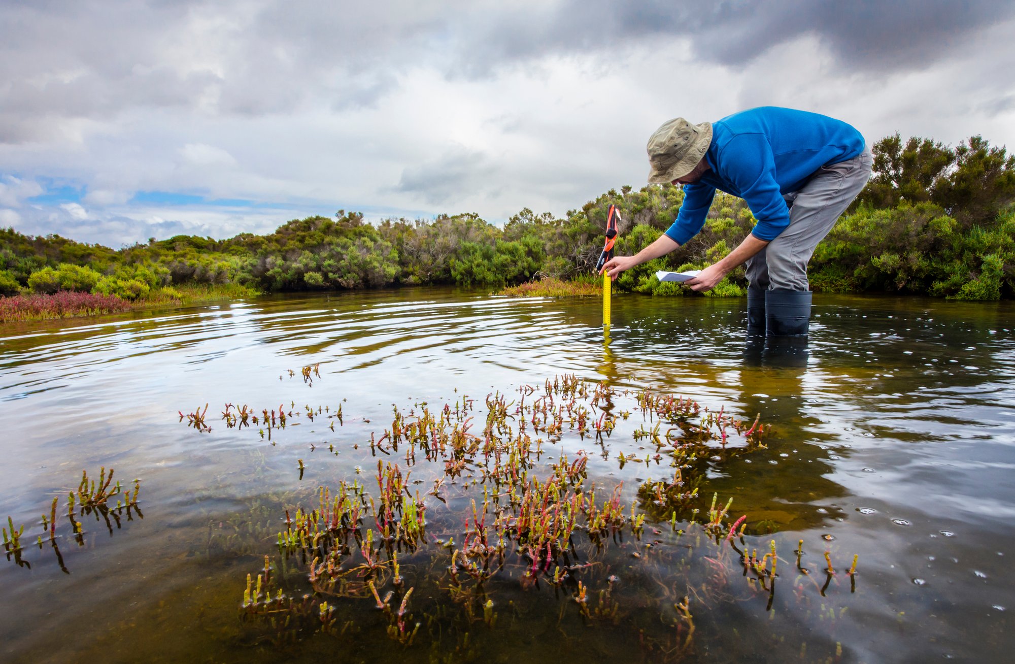 surveying pond depth 