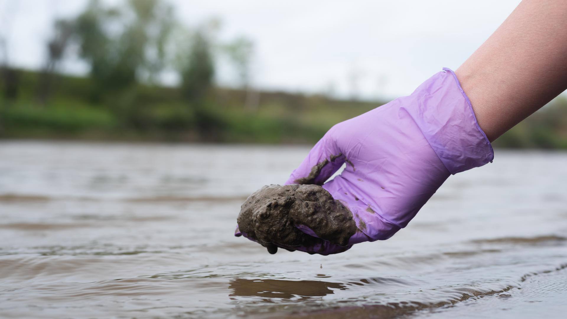 A biologist scoops up a handful of pond sludge